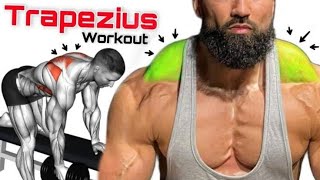 Trapezius workout Effective Trap Workout Routine [upl. by Ainud]