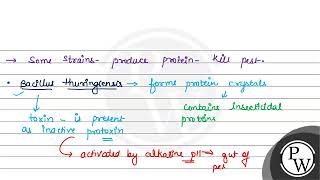 Regarding Bthuringiensis and Bt cotton correct statements are A Bt enters the foregut of the [upl. by Artemas]