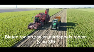 Bieten rooien zaaien en aardappels rooien vlog 39 [upl. by Beutler]