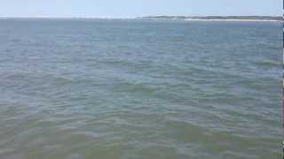 Fishing while anchored in Nassau Sound [upl. by Haianeb]