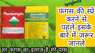 Streptocycline  sterptocycline fungicide  spray karne se phele iske baare me jarur janle [upl. by Jael]