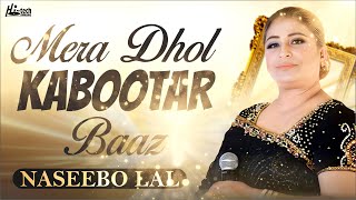 Mera Dhol Kabootar Baaz  Naseebo Lal  Beautiful Song  Official  HiTech Music [upl. by Isadora]