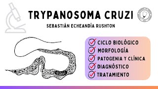 TRYPANOSOMA CRUZI Ciclo biológico Vector Clínica Diagnóstico y Tratamiento  Parasitología [upl. by Hazelton]