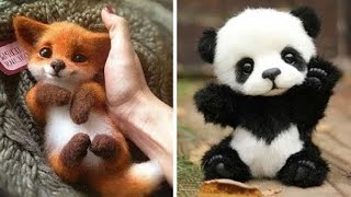 10 ANIMAUX les plus MIGNONS qui vont vous faire CRAQUER   Nalak [upl. by Oliver]