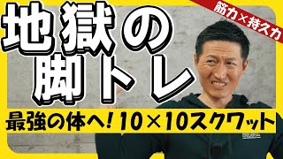 【QampA】筋力･持久力アップの脚トレ法！プヨプヨお腹解消法＆チェストプレスの効かせ方 [upl. by Auhsuj]