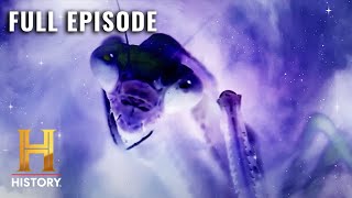 Ancient Aliens INSECT GODS OF DEEP SPACE S7 E7  Full Episode [upl. by Georgine]