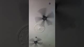 Relaxing with video Elmark el 921 ceiling fan strong wind very fast [upl. by Morena]