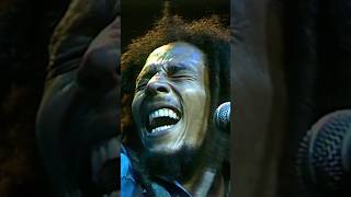 Bob Marley reggaeartist clip shorts [upl. by Iclehc]