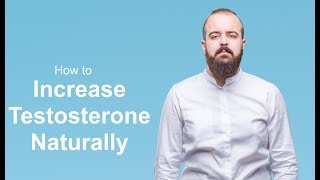 How to Increase Testosterone Naturally [upl. by Anuahsar]