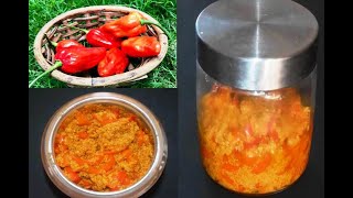 ভোট জলকীয়া আচাৰ I Bhut Jolokia Pickle I Ghost Chilli Pickle I Famous Food of Assam [upl. by Airdnaid]