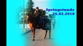 Erste ParcoursSpringstunde seit der Babypause mit Brilliante 25 02 2018 [upl. by Halilahk456]