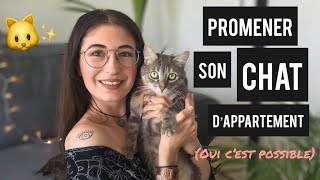 PROMENER SON CHAT EN LAISSE Première étape  Comment lhabituer au harnais [upl. by Tnaryb]