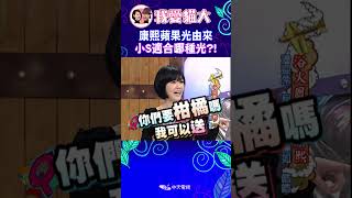 康熙蘋果光由來 小S適合哪種光【康熙來了 shorts】 小s 蔡康永 搞笑 [upl. by Varuag396]