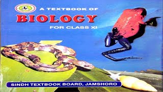 84 LIFE CYCLE OF ZYGOMYCOTA  CHAPTER 8KINGDOM FUNGI  FIRST YEAR BIOLOGY [upl. by Hertha]