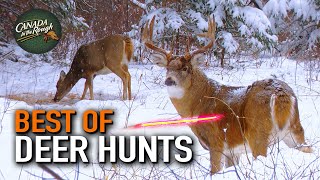 25 Deer Hunts Under 15 Minutes ULTIMATE Deer Hunting Compilation  BEST OF [upl. by Kreda455]