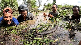 PARA MANUSIA BERANG BERANG BERAKSI MENANGKAP IKAN😱 BERKUDANGLUMPUR [upl. by Rempe488]