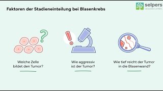 Welche Stadien gibt es bei Blasenkrebs Experte informiert [upl. by Clyte]