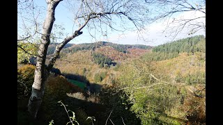 In und um Dedenborn den Panoramaweg Wwg 36 gelaufen  Eine wirklich empfehlenswerte Wanderung [upl. by Ellemrac608]