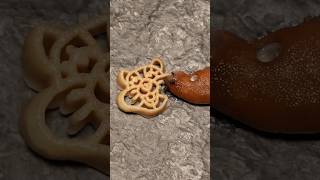 Slug vs Hamster Pasta Time Lapse slugs spaghetti pasta [upl. by Anal754]