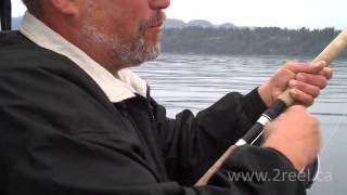 Fishing for Coho and Springs in Sooke BC with underwater video [upl. by Osnohpla]