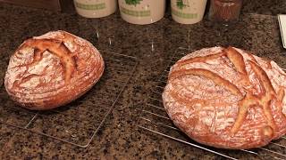 Basic Crusty Bread Recipe [upl. by Eissirk]