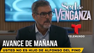 SED DE VENGANZA  AVANCE CAPÍTULO 37 [upl. by Hanikas780]