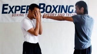 Boxing SelfDefense Techniques [upl. by Polak]