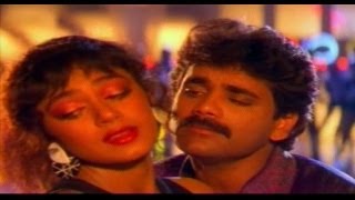 Neti Siddhartha Telugu Movie Songs  Neeve Kada Naa Sweetu  Nagarjuna  Sobhana [upl. by Conlee]