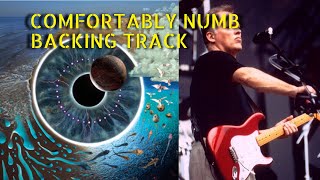 Comfortably Numb  PULSE  Backing Track Last Solo With Audience [upl. by Eycal]