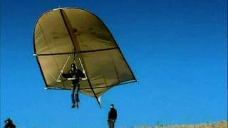 Leonardo da Vinci Glider  reality test Rate My Science [upl. by Tenej]