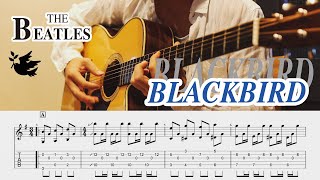 BLACKBIRD【ブラックバード】THE BEATLES  Guitar Cover  TAB [upl. by Aseeral382]