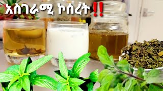 🌱የኮሰረት ዘይት❗ በወተትና በሻይ አዘገጃጀት📌 የብዙ ጤና ጥቅሞቹ በደጃችን ያለlippia abyssinca jery tube Ethiopian food [upl. by Yawnoc]