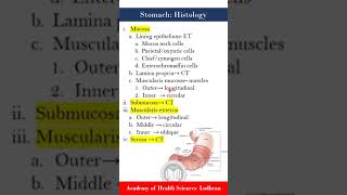 Stomach histology [upl. by Fulmer]