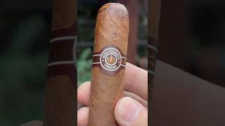 A money Monte 🤑 cigar cigars luxury [upl. by Renaud]