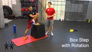 FMS Hurdle Step Correctives [upl. by Adnirb13]