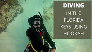 Diving in the Florida keys with Hookah [upl. by Adrell475]