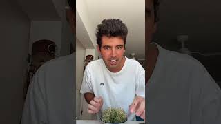 ¡GERMINADOS LISTOS Y CRECIERON MÁS DE LO QUE ESPERABA 🌱😲 Parte 2 [upl. by Durning]