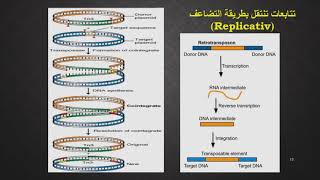 التتابعات المتنقلة داخل جينوم البكتريا Transposable Elements [upl. by Demakis]