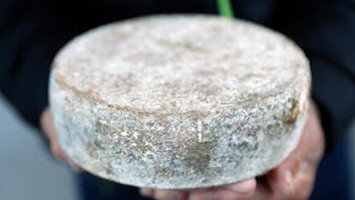 Best Seasonal French Cheeses A MonthbyMonth Guide [upl. by Harriett]