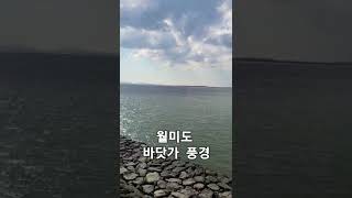 월미도 바닷가 에너지 충전 편안한 하루 시작하세요 [upl. by Kamila]