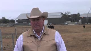 Ron Gill  Preconditioning Calf Management  Introduction to Preconditioning Calves [upl. by Janot]