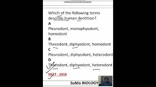 diphyodont heterodont and thecodont characteristics of human dentition [upl. by Aztiley]