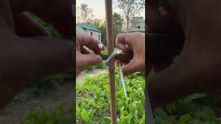 Fixing process of nylon ties for vegetable patch bamboo frame [upl. by Mellman]