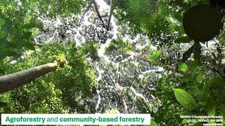 Agroforestry and communitybased forestry 101 [upl. by Riordan]