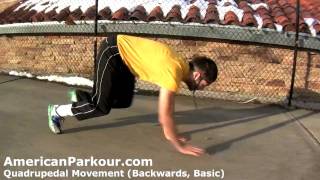 Quadrupedal Movement Backwards Basic  Parkour Training and Conditioning Exercise [upl. by Okomom352]