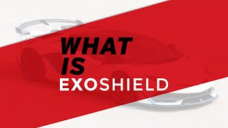 ExoShield Windshield Protection Explained An interview with our CEO [upl. by Campy]