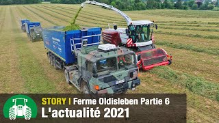 Ferme AgrarGmbH Oldisleben  Agriculture sur 3 700 hectares Nouveautés 2021  Récolte  Pt 6 [upl. by Ailekahs]