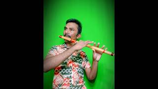 Taari Aankh No Afini  Flute Cover  Sumariya solanki  Flute Music [upl. by Furiya]