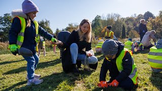 Wielka akcja sadzenia krokusów w Słupcy [upl. by Bevers669]