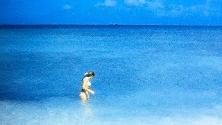 Found Footage  Aruba The Caribbean Travel and Lobsters [upl. by Eelanej]